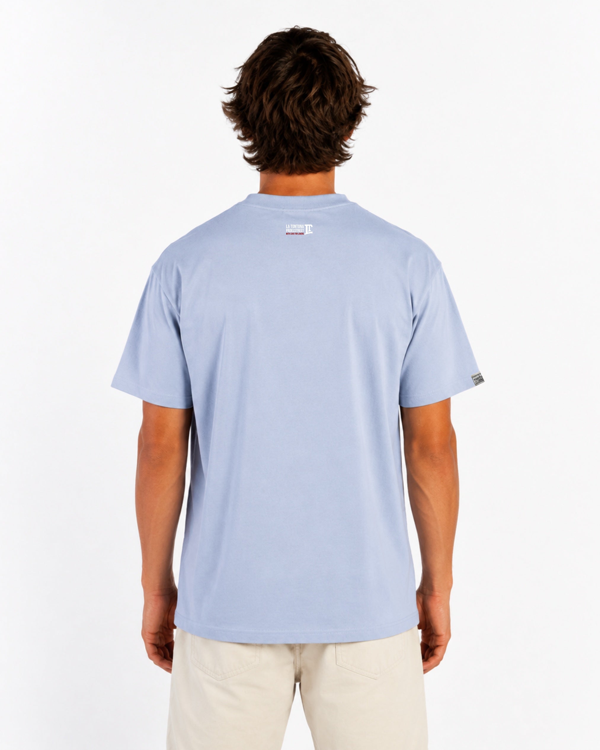 Camiseta The evolution of a genius